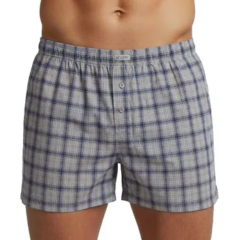 Trenýrky Andrie PS 5970 šedé pánské trenýrky Barva: šedá, Velikost: XL