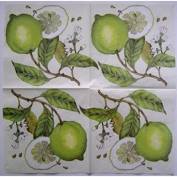 Papírový ubrousek Ubrousek pro decoupage - B28