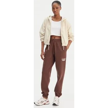 Reebok Teplákové kalhoty Cl Ae Pant 100202799 Hnědá Regular Fit XS