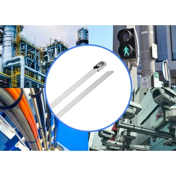 Stahovací páska TRU COMPONENTS TC-12656656 Ocelové stahovací pásky 150 mm 4.6 mm AISI 316 10 ks