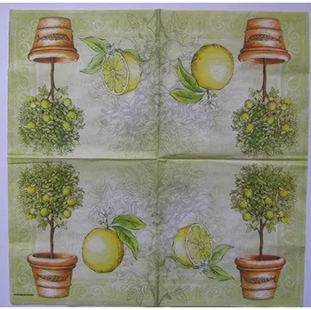 Papírový ubrousek Ubrousek pro decoupage - B48