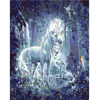Diamantové malování Diamondi - JEDNOROŽEC V NOCI, 40x50 cm, bez rámu a bez vypnutí plátna