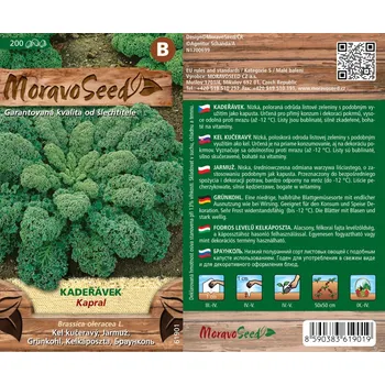 Semeno MORAVOSEED Kadeřávek Kapral 61901