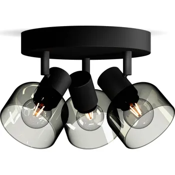 Philips Sleet 8720169299658 stropní lampa E14 černá