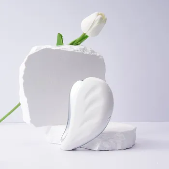 Ultrazvuková špachtle Luxusní EMS Gua Sha – Terapie krásy proti vráskám