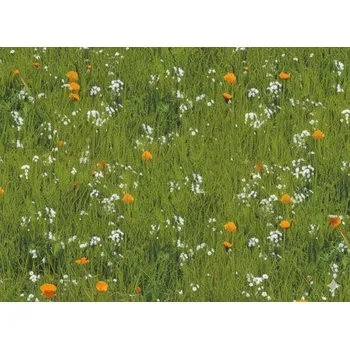 Karton Fotokarton A4/300g Kvetoucí tráva