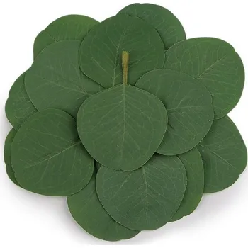 umělá květina Umělý list eukalyptus, zelená