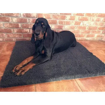 Pelíšek pro psa vetbed Original deka pro psy s protiskluzem 80 x 50 cm