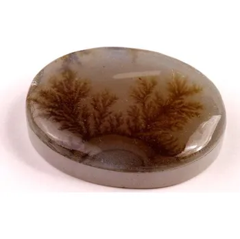 Přírodní kámen Kabošon Dendrite Quartz č.8368 (35x25x9mm)