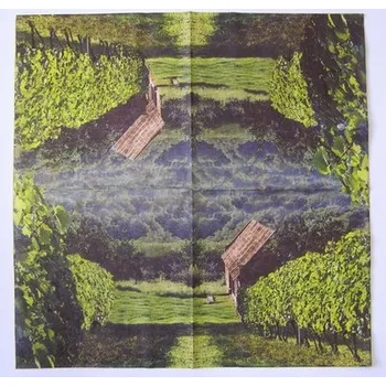 Papírový ubrousek Ubrousek pro decoupage - B30