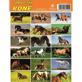 samolepka Samolepky - typ L /koně/