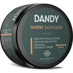 Dandy Water Pomade Wax vosk 100 ml