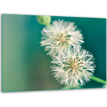 Kuchyňské prkénko Krájecí deska TMK ArtDeko sklo 1 ks