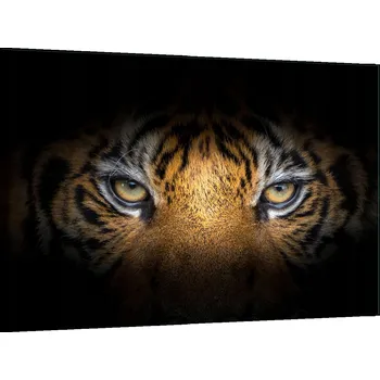 Kuchyňské prkénko Krájecí deska TMK ArtDeko sklo 1 ks