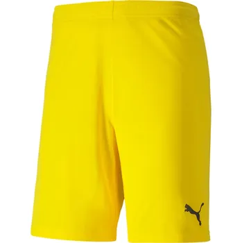 Pánská móda Šortky Puma teamGOAL 23 knit Shorts 70426207 Velikost L