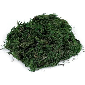 umělá květina Dekorační mech 50 g - zelená