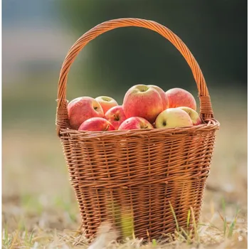 Nákupní košík Trháček prům. 25cm 067036/25