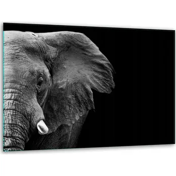 Kuchyňské prkénko Krájecí deska TMK ArtDeko sklo 1 ks