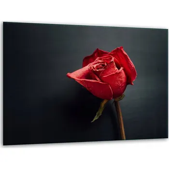 Kuchyňské prkénko Krájecí deska TMK ArtDeko sklo 1 ks