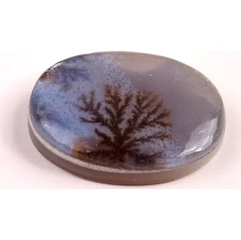 Přírodní kámen Kabošon Dendrite Quartz č.8374 (36x26x8mm)