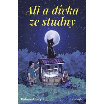Ali a dívka ze studny