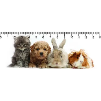 Dekorativní magnet Pravítko 3D - Gang deep