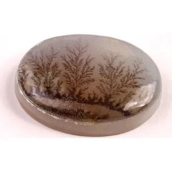 Sběratelství Kabošon Dendrite Quartz č.8358 (35x25x8mm)