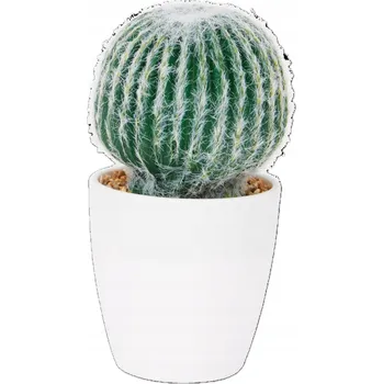 umělá květina Umělá rostlina v květináči 33 cm kaktus koule