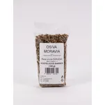 Osiva Moravia Kostelecká Barres řepa…