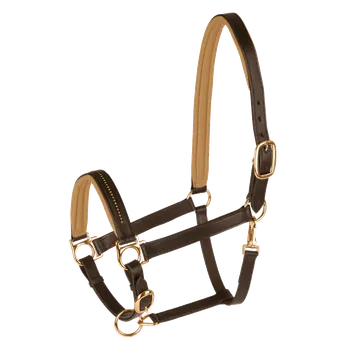 Vybavení pro koně Kožená ohlávka STAR Diamond, hnědá/zlatá, Full