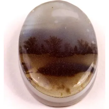 Přírodní kámen Kabošon Dendrite Quartz č.8373 (33x23x8mm)