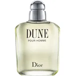Dior Dune pour Homme Toaletní voda EDT 100ml, pánske