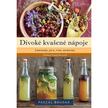 Kniha Divoké kvašené nápoje