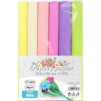 Speciální papír Krepový papír JUNIOR 100x25 cm INTENSE Florist (sada 6 ks) JUNIOR