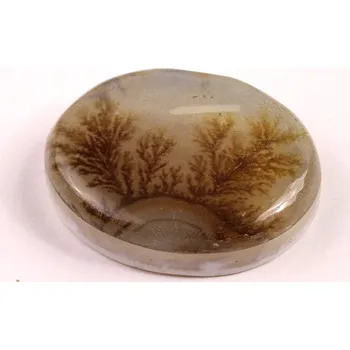 Přírodní kámen Kabošon Dendrite Quartz č.8351 (33x25x9mm)