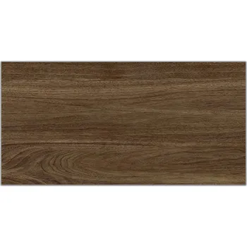 Dlažba Stargres Dlažba Massimo brown 30x60cm