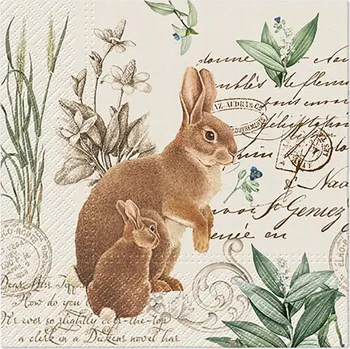 Papírový kapesník Paw Ubrousky PAW Dekor L (20ks) Mystery Bunny 616699