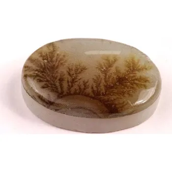 Přírodní kámen Kabošon Dendrite Quartz č.8369 (32x22x9mm)