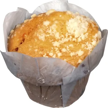 Trvanlivě pečivo Rioba Muffin borůvkový 100g