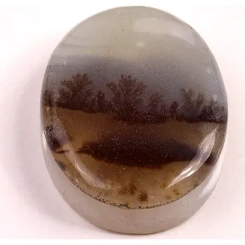 Přírodní kámen Kabošon Dendrite Quartz č.8359 (32x24x9mm)