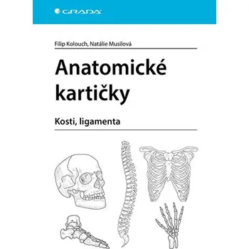 Kniha Anatomické kartičky - Filip Kolouch, Natálie Musilová (2025, e-kniha)