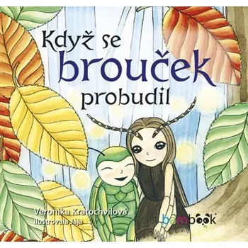 Když se brouček probudil