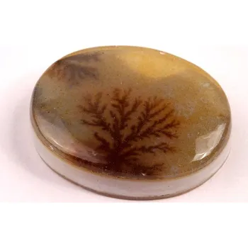 Přírodní kámen Kabošon Dendrite Quartz č.8357 (35x27x9mm)