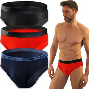 Slipy 3x Pánské slipy s ozdobnou gumou WILD CAT, vícebarevné Sesto Senso (L)