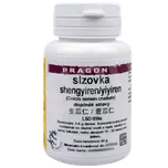 Pragon Slzovka shengyiren/yiyiren…