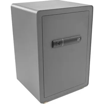 Trezor Trezor G21 na otisk prstu 420x600x380mm