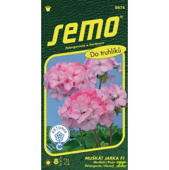 Semeno SEMO Pelargonie páskatá Jarka F1 11 ks