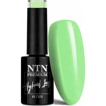 Lak na nehty Hybridní lak barevný lak Ntn 07 5 ml