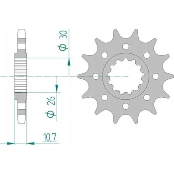 Nářadí na motocykly Řetězové kolo AFAM 21805-15