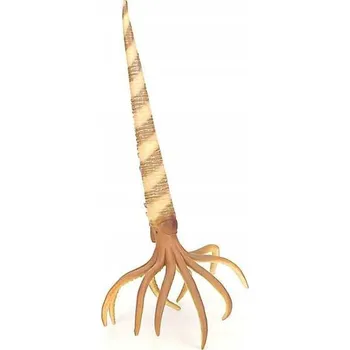 Figurka ORTHOCERAS - CollectA - 88903 - L